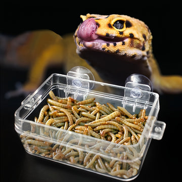 Durable Anti-Escape Feeder for Reptiles - Perfect for Lizards, Geckos, Chameleons, and Insects - Easy to Clean and Maintain