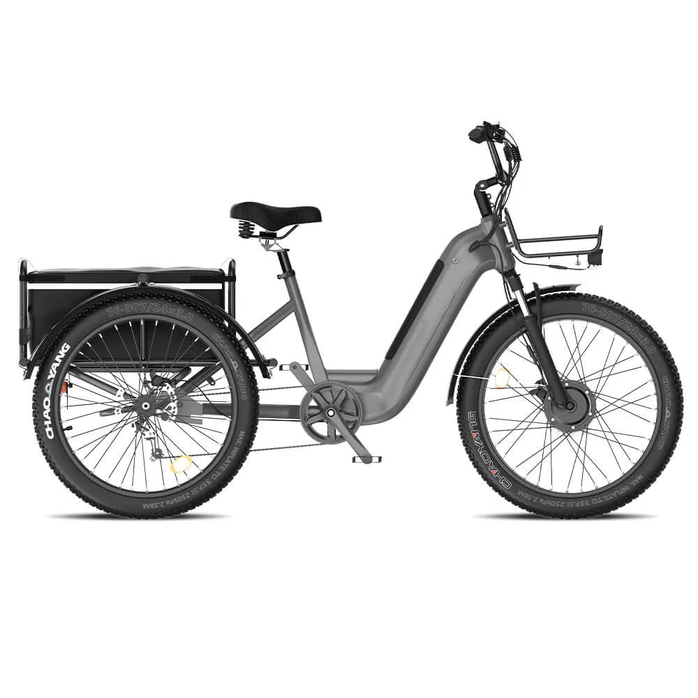 High Quality Front Motor 3 Wheels E Cargo Bike  750W Trike With Oversize Saddle Electric Tricycle