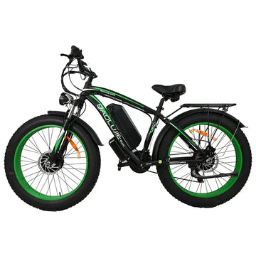 for 2000W dual motor 48V 20AH 26*4.0 fat tire hydraulic brake soft tail frame large front fork color instrument electric bicycle