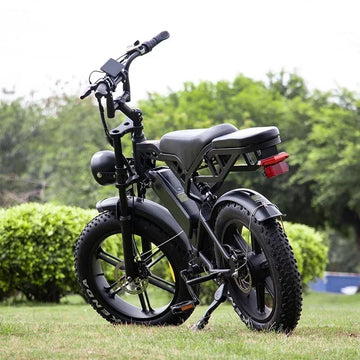 V20PRO electric bicycle have 1000W 48V15AH Battery and Urban Off-Road Riding for E bike and Beach Off-Road Riding electric bike