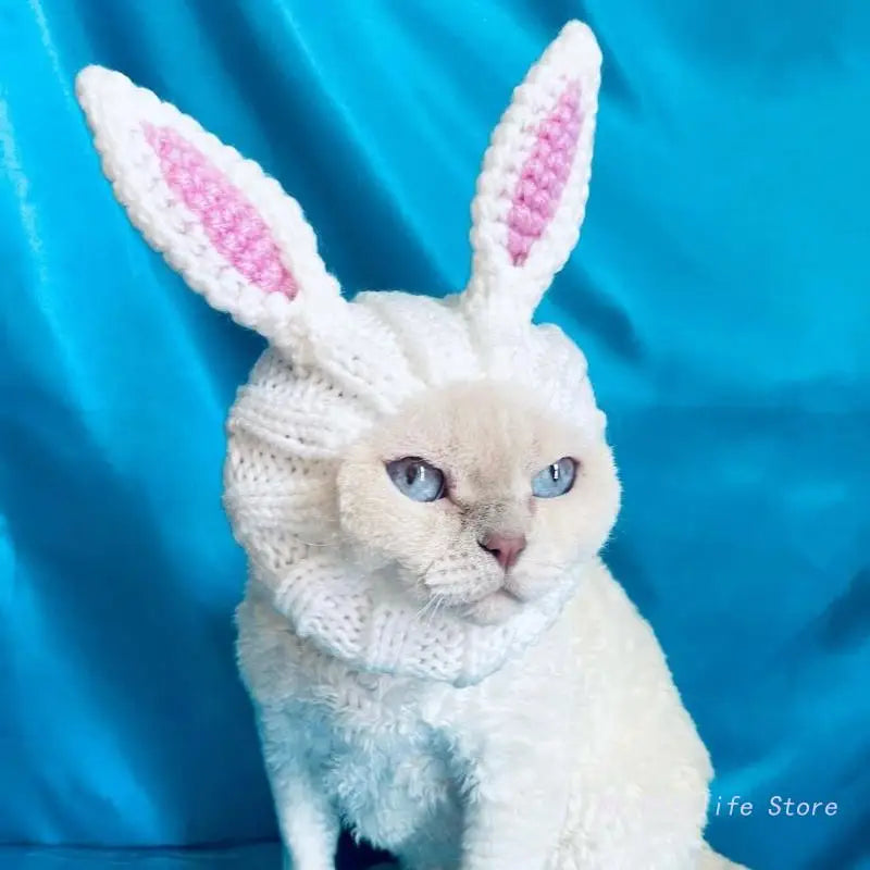Funny Hat for Cats Knitted hat Dress Up Costume Pet Hat Christmas Cosplay Warm Headwear Dogs Hats Puppy Cats Accessories