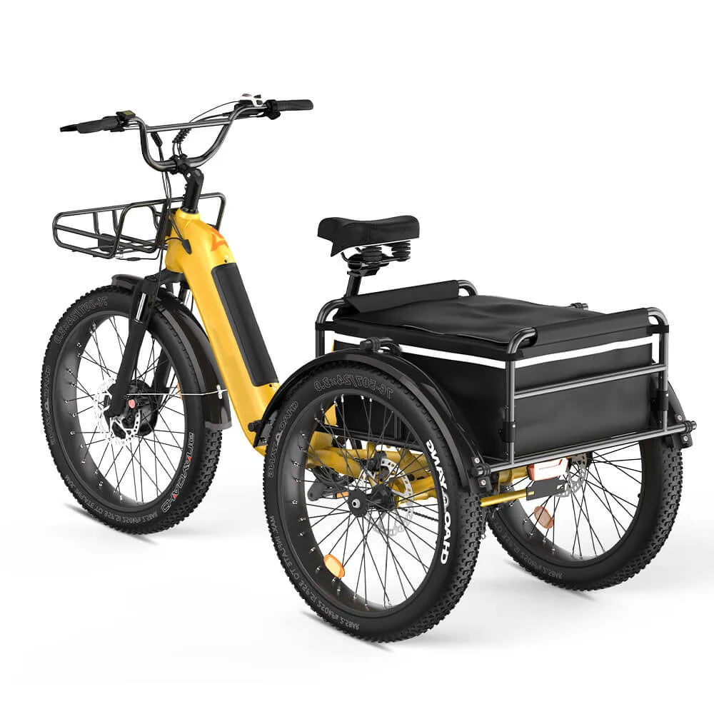 High Quality Front Motor 3 Wheels E Cargo Bike  750W Trike With Oversize Saddle Electric Tricycle