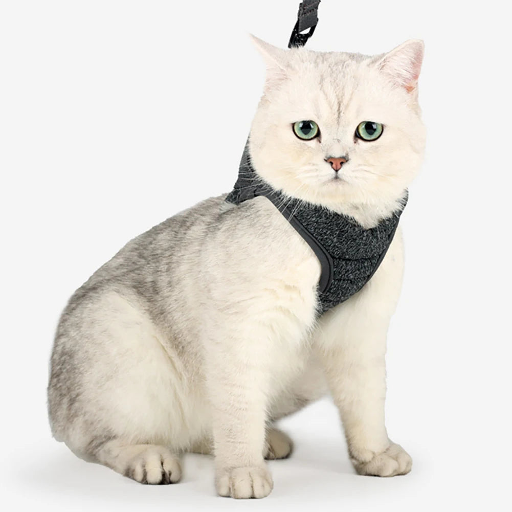 Cat Harness and Leash for Walking Escape Proof Soft Adjustable Pet Vest Harnesses for Cats Lightweight Puppy Dog Harness