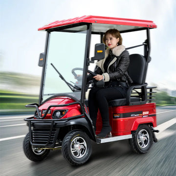 New 2 3 4 Seat Mini Bus Electric Four Wheeler With Roof Scenic Sightseeing Car Double Row Seat Scooter Electric Golf Cart