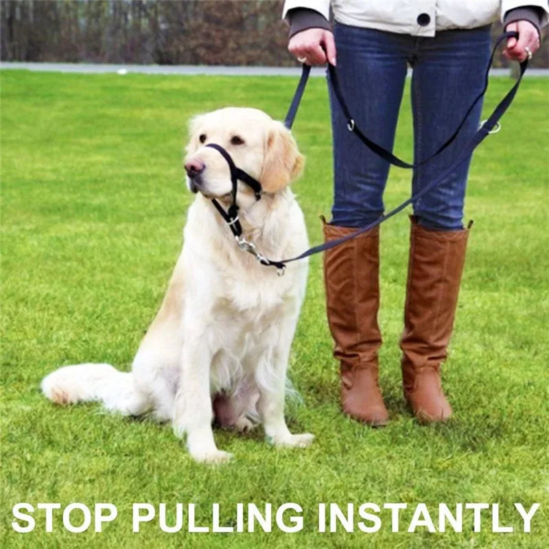 New Dog Mouth Cover Adjustable Anti Bite Reflective Light Weight Padded Nose Strap Traction Suit Training Strap Pet Products