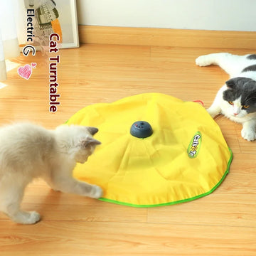 Electric Automatic Cat Toy Interactive Self Entertaining Chew Resistant Fun Home Pet Supplies Cat Toys Interactive Play Wheel